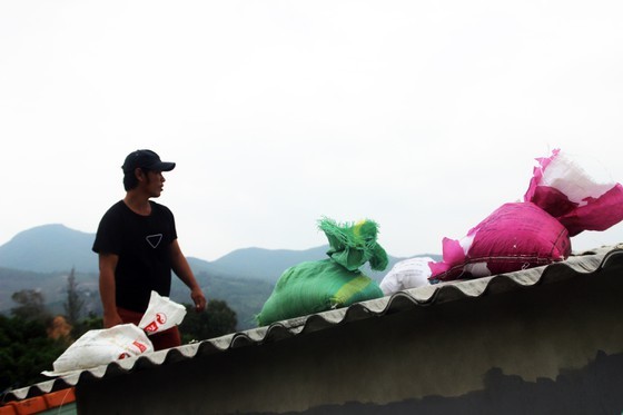 Typhoon Nakri forecast to strike land in Binh Dinh, Phu Yen  ảnh 6