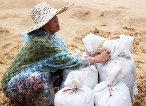 Typhoon Nakri forecast to strike land in Binh Dinh, Phu Yen  ảnh 1