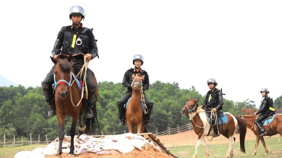 Horse-training day of cavalry soldiers at Ba Van horse farm ảnh 4