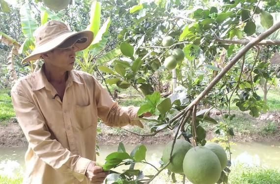 Ben Tre gets through natural disasters situation due to saltwater intrusion 