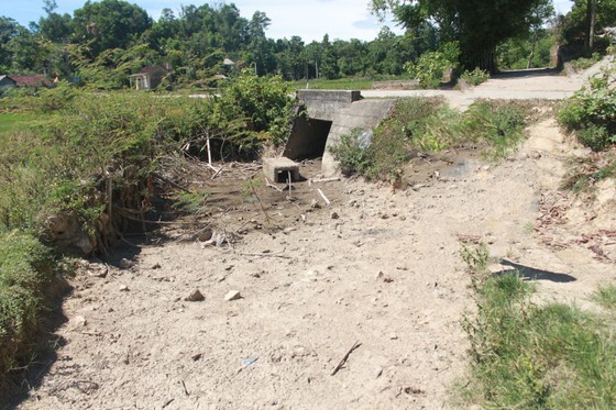 Hot climate, drought cause severe damage in Ha Tinh  ảnh 6