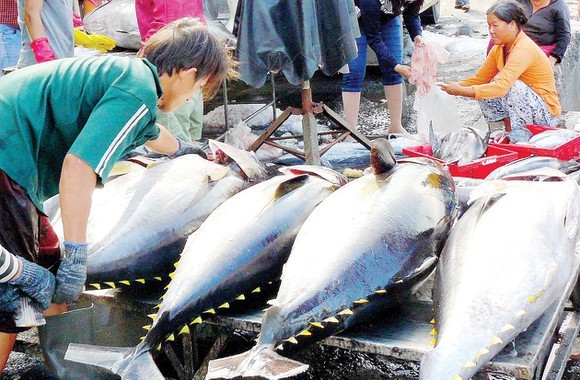 Shrimp, tuna exports to EU see positive signs
