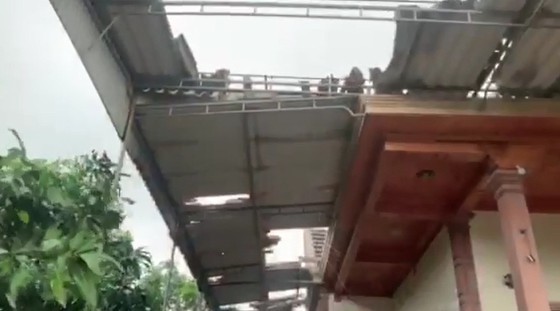 Storm No.5 brings whirlwind, torrential downpour in some places  ảnh 4