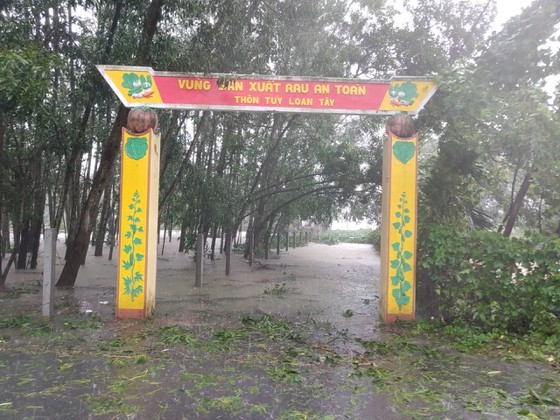 Central region proactively copes with double floods  ảnh 20