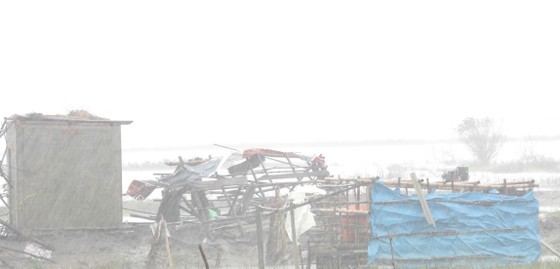 Vamco slams Quang Binh Province, some services paused ảnh 14