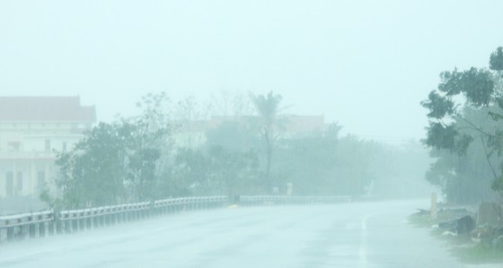 Vamco slams Quang Binh Province, some services paused ảnh 18