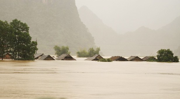 (Illustrative photo:SGGP)