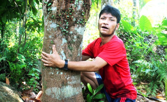 Ethnic minority villages built on mountains in Central Vietnam  ảnh 8