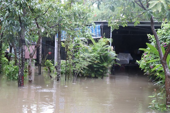 Storm-triggered flooding disrupts traffic in Central region  ảnh 5