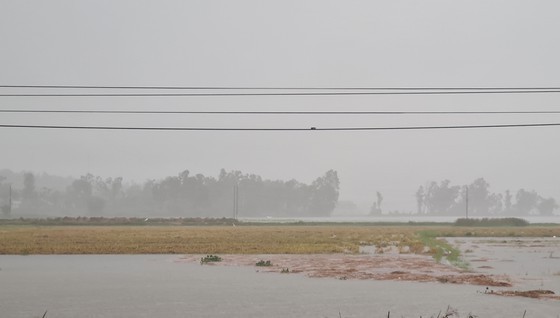 Storm-triggered flooding disrupts traffic in Central region  ảnh 2