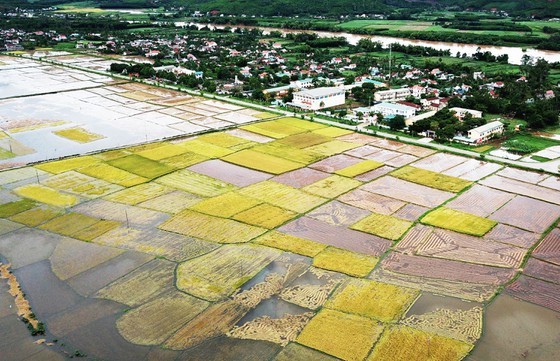 Conson brings power outages, flooding in Central region ảnh 17