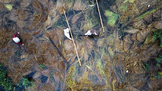 Conson brings power outages, flooding in Central region ảnh 18