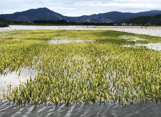 Conson brings power outages, flooding in Central region ảnh 19