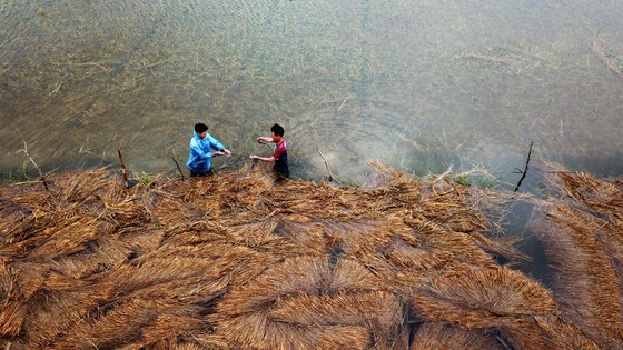 Conson brings power outages, flooding in Central region ảnh 20