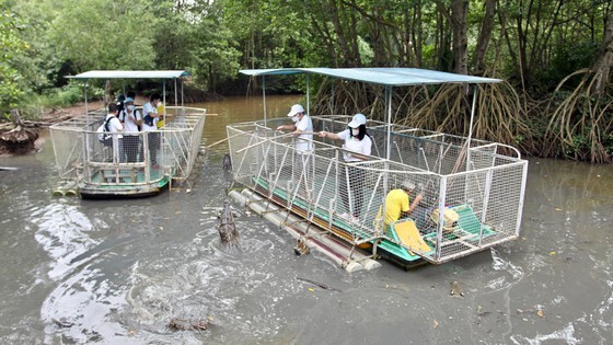 Doctors, medical staff visit HCMC Museum, Can Gio District ảnh 10