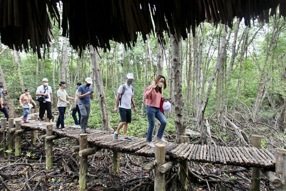 Doctors, medical staff visit HCMC Museum, Can Gio District ảnh 6
