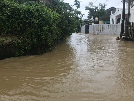  Central localities promptly evacuate people from flood-prone areas  ảnh 2