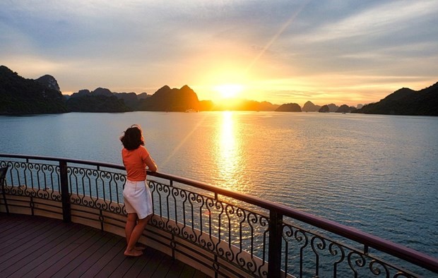 Healthcare tourism: untapped potential in Vietnam ảnh 2