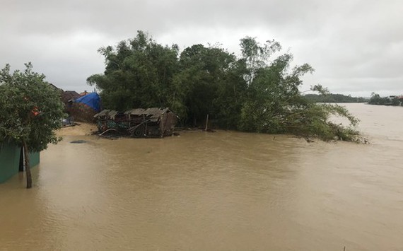  Central localities promptly evacuate people from flood-prone areas  ảnh 5