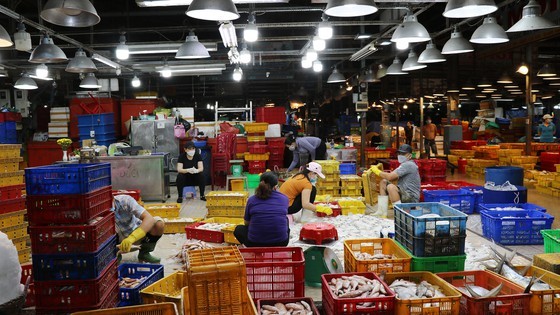 Binh Dien wholesale market operates 30 percent of capacity from November ảnh 2