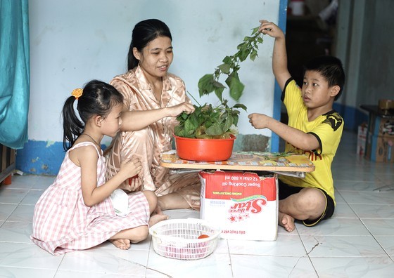 Daily activities of teachers in Thanh An Island Commune ảnh 7