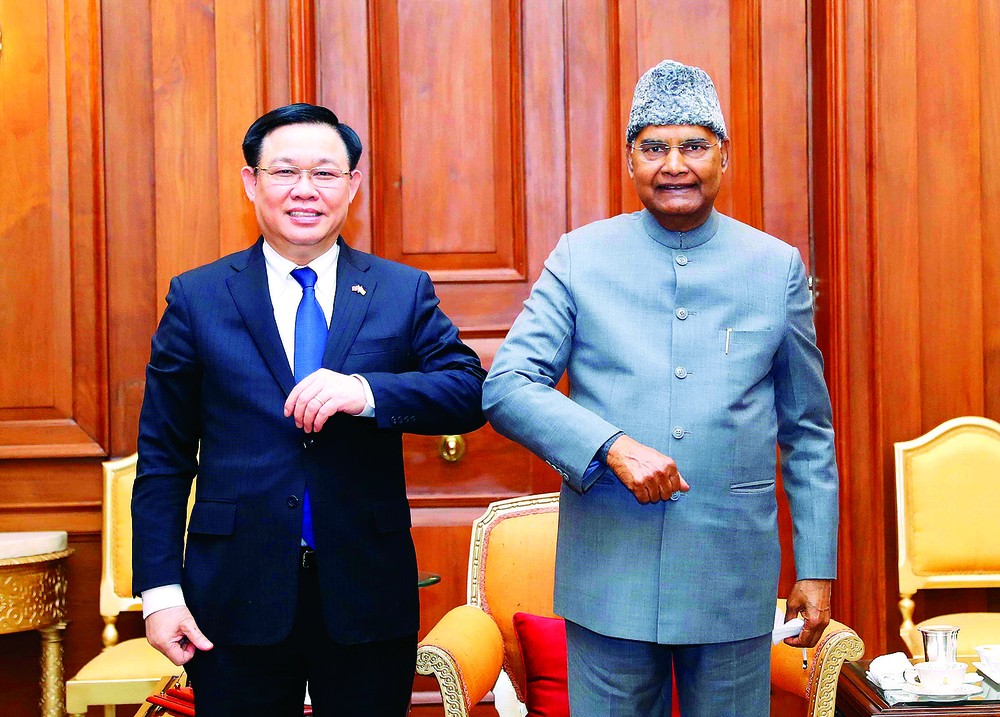 Vietnam sets key diplomatic milestones in 2021 ảnh 2