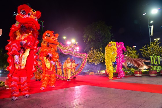 19th Nguyen Hue Lunar New Year flower street opened  ảnh 9