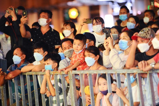 19th Nguyen Hue Lunar New Year flower street opened  ảnh 10
