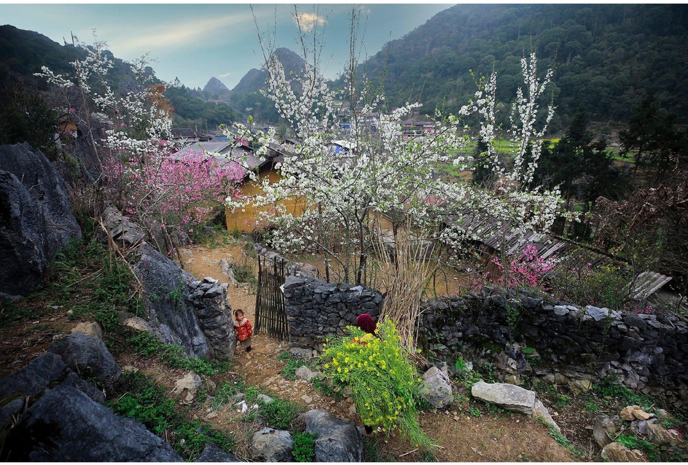 Rocky highland mountains of Ha Giang attract tourists ảnh 2