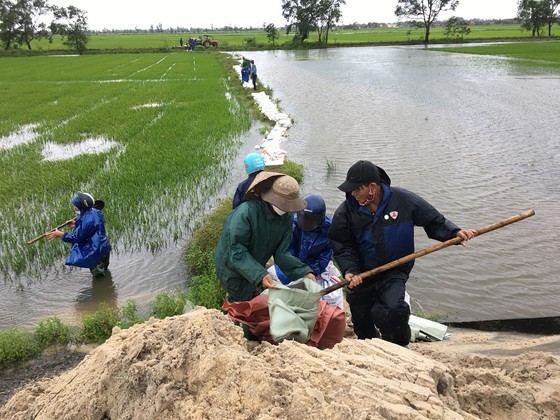 PM directs Central localities to overcome consequences of flood-triggered rains ảnh 2
