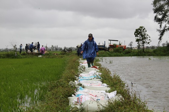 PM directs Central localities to overcome consequences of flood-triggered rains ảnh 3