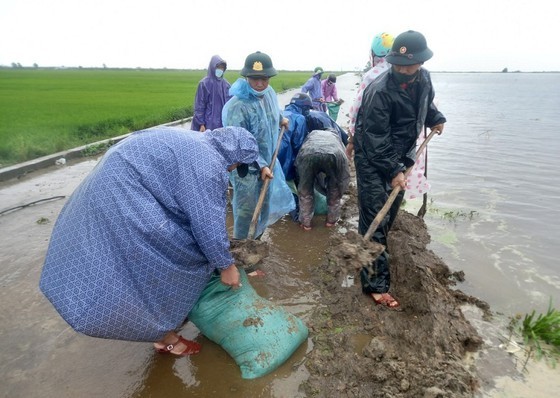PM directs Central localities to overcome consequences of flood-triggered rains ảnh 14
