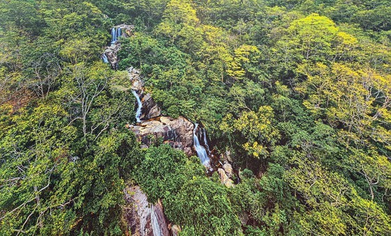 Ninh Thuan, heritage road ảnh 1