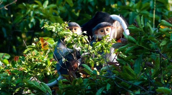 Ninh Thuan, heritage road ảnh 2