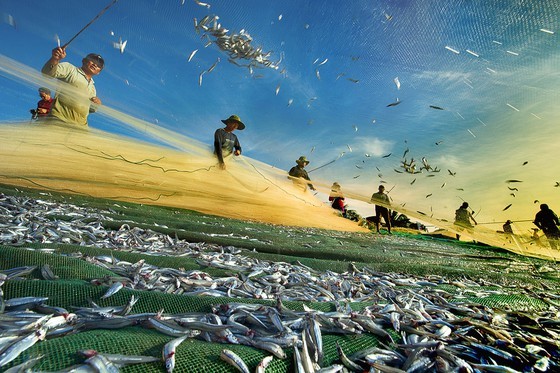 Ninh Thuan, heritage road ảnh 5