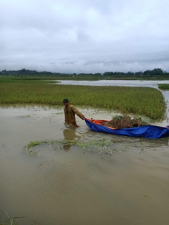 Incessant rains continue flooding Northern localities  ảnh 3