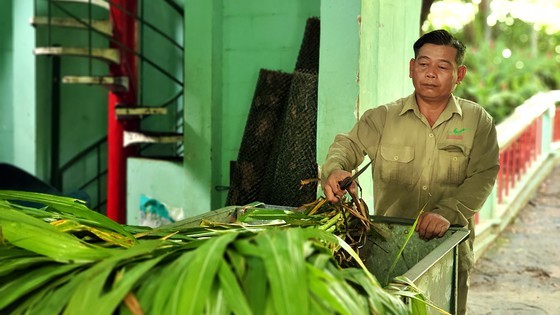 Saigon Zoo & Botanical Gardens, familiar destination during summer  ảnh 4