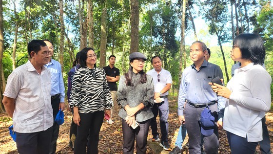 HCMC delegation surveys tourism potentiality at Kon Ka Kinh National Park ảnh 2
