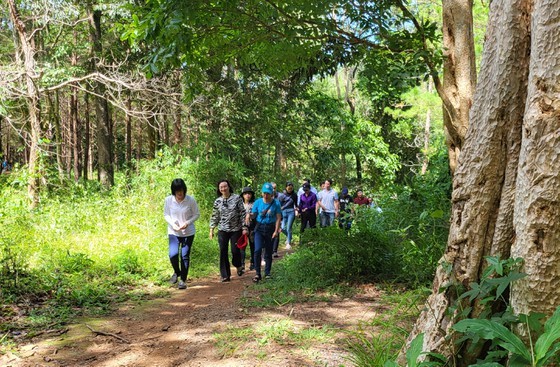HCMC delegation surveys tourism potentiality at Kon Ka Kinh National Park ảnh 7