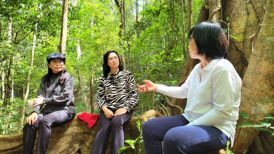HCMC delegation surveys tourism potentiality at Kon Ka Kinh National Park ảnh 1