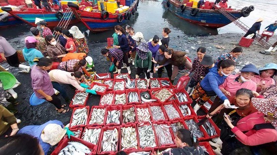 Bustling rhythms at fishing villages in Central region ảnh 2