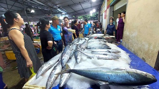 Bustling rhythms at fishing villages in Central region ảnh 4