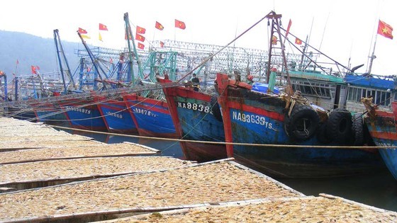 Bustling rhythms at fishing villages in Central region ảnh 6