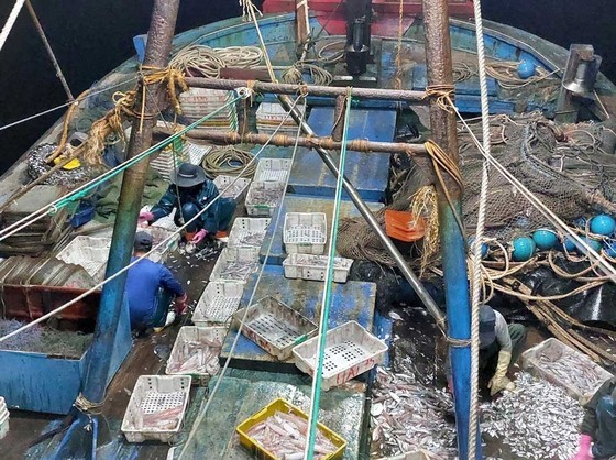 Bustling rhythms at fishing villages in Central region ảnh 5