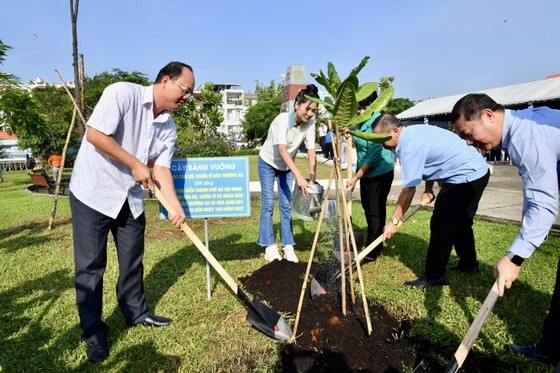 HCMC strives to build 1,500 clean, nice residential areas by 2024 ảnh 1