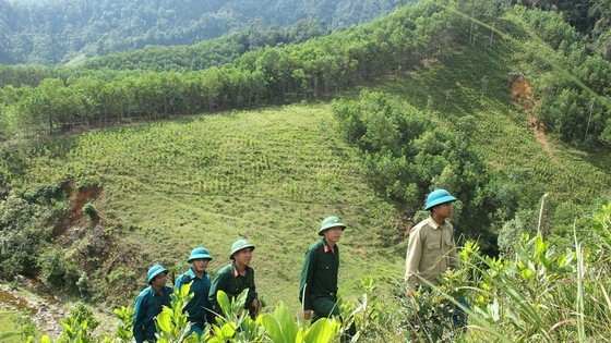 “Hot point” of dioxin in Thua Thien-Hue Province revived ảnh 1