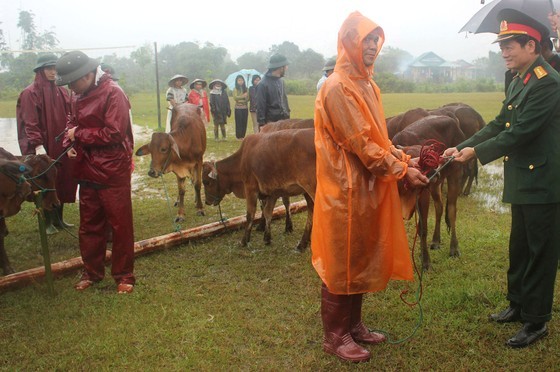 “Hot point” of dioxin in Thua Thien-Hue Province revived ảnh 6