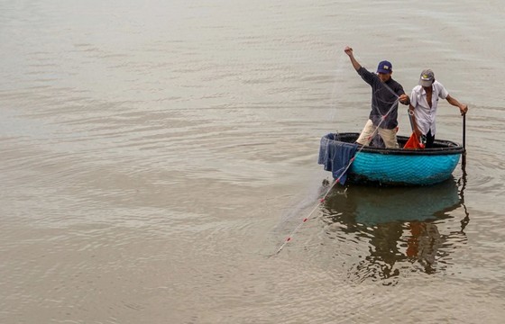 Locals rush to catch fish after storm Noru in Da Nang  ảnh 5