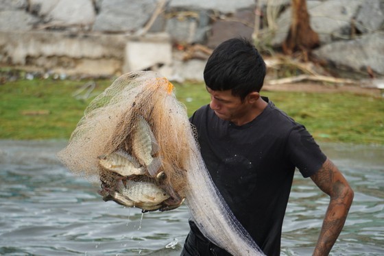Locals rush to catch fish after storm Noru in Da Nang  ảnh 7