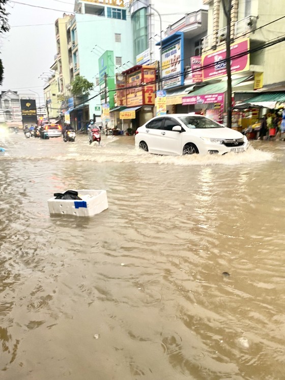 Downstream parts of Mekong Delta experience largest tidal wave this year ảnh 1